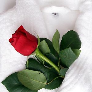 Romantic Double Room